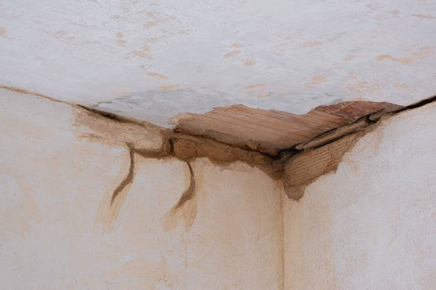 Best Water damage restoration near me  in Valencia, NM