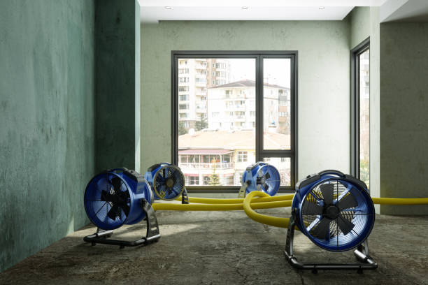 Best Local water damage restoration  in Valencia, NM