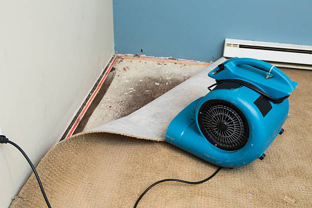 Best Water damage restoration cost  in Valencia, NM